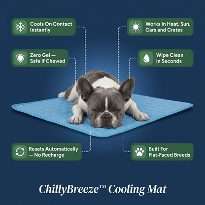 ChillyBreeze™ Cooling Mat